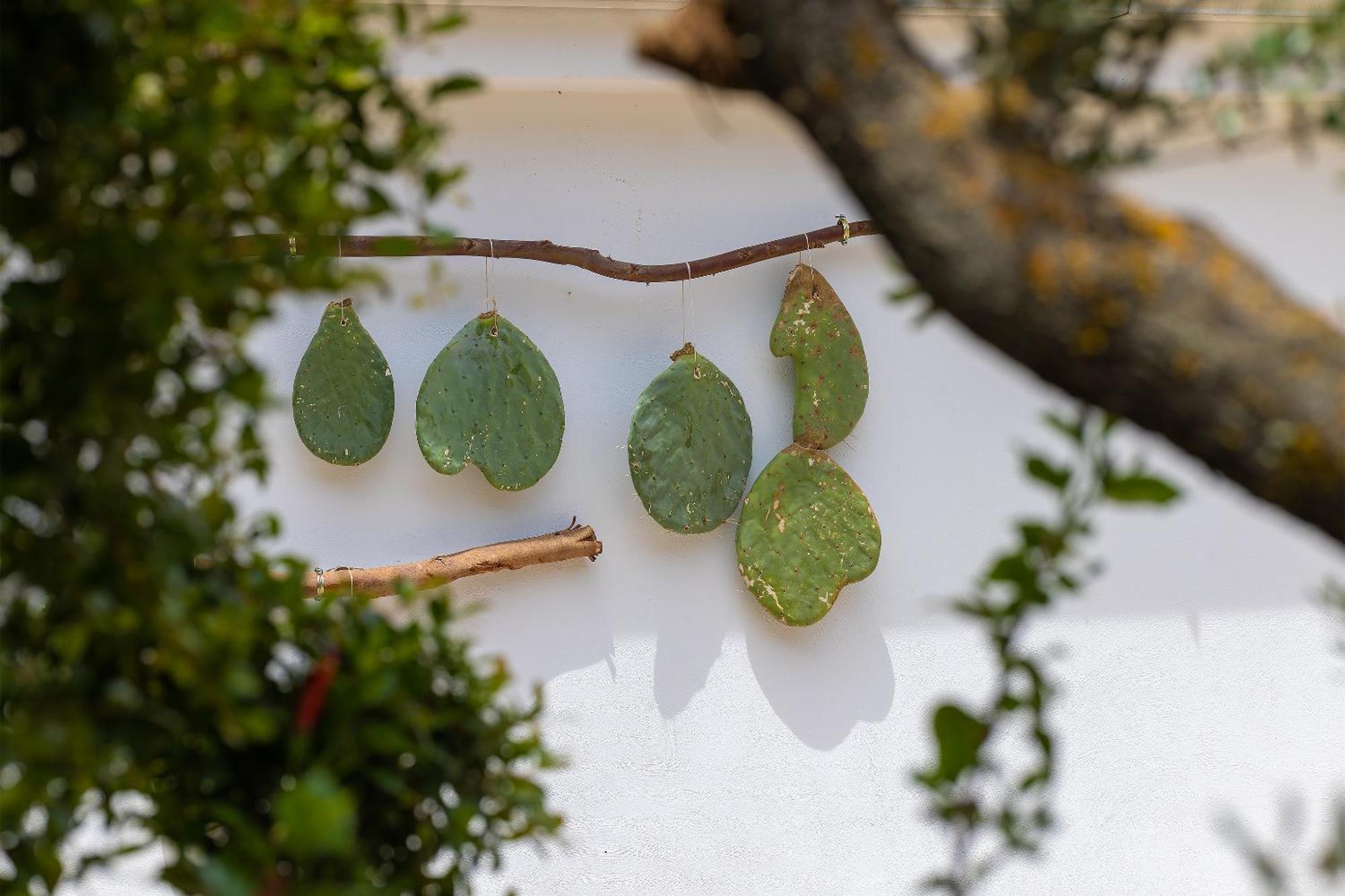 Hotel Masseria Fontanelle Ugento Eksteriør bilde